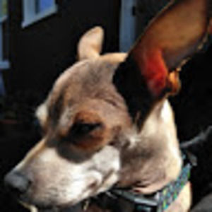 Meet your Posher, Jen